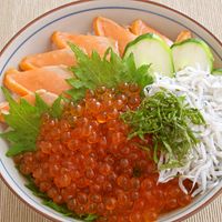 しらすといくら しらすといくら 極上しらす 商品詳細｜丸八加藤商店｜新鮮な海産物を