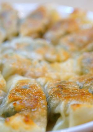 野菜たっぷり餃子☆-レシピのメイン写真
