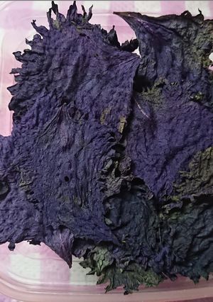 シソ　乾燥保存-レシピのメイン写真
