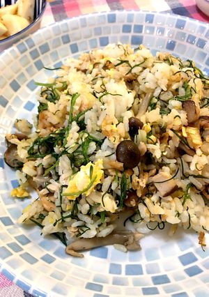 おかひじきと鮭の和風炒飯-レシピのメイン写真