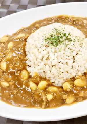 大豆のキーマカレー-レシピのメイン写真