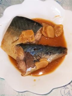 生鯖の味噌煮-レシピのメイン写真