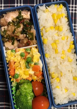 20190729マイ弁当-レシピのメイン写真
