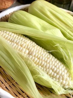 美味しい!とうもろこしの茹で方-レシピのメイン写真