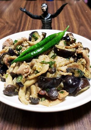 豚バラ肉と茄子の青唐辛子味噌炒め-レシピのメイン写真