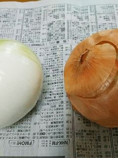 玉ねぎの剥き方(私の場合)-レシピのメイン写真