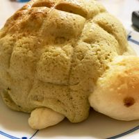 基本からアレンジまで！思わずつくりたくなる「かめ メロンパン」の