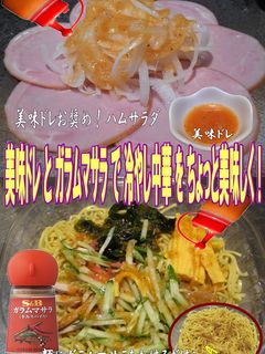 美味ドレとガラムマサラで冷やし中華に挑戦-レシピのメイン写真