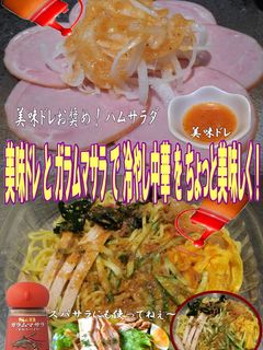 美味ドレとガラムマサラで冷し中華NO.2-レシピのメイン写真