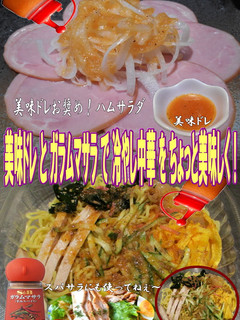 美味ドレとガラムマサラで冷し中華NO.2-レシピのメイン写真