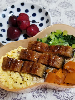 簡単♪うなぎ入りのスタミナ3色丼弁当-レシピのメイン写真