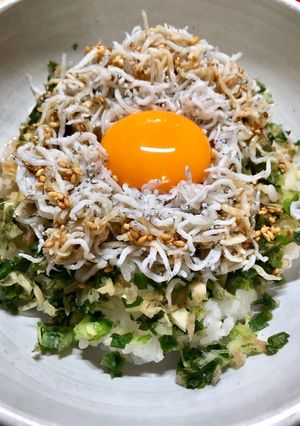 釜揚げちりめんの ちりめん丼-レシピのメイン写真