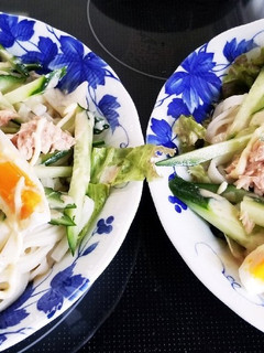 夏休みサラダうどん-レシピのメイン写真