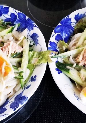 夏休みサラダうどん-レシピのメイン写真