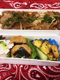残り物肉で♪生姜焼き弁当(覚え書き)-レシピのメイン写真