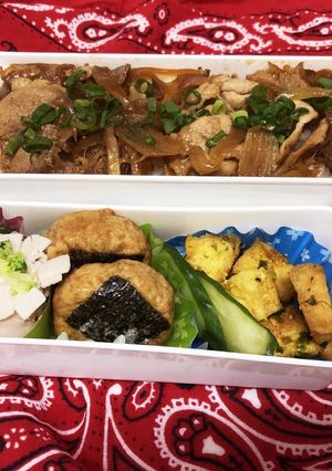 残り物肉で♪生姜焼き弁当（覚え書き）-レシピのメイン写真