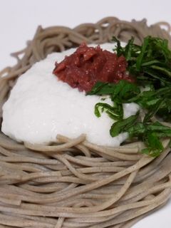 さっぱり美味しい♡梅とろろ蕎麦-レシピのメイン写真