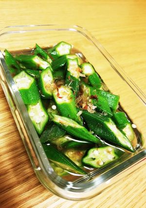 白だしであっさり副菜⭐オクラのお浸し⭐-レシピのメイン写真