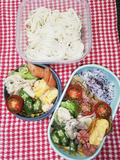 パパ&ママ弁当♡素麺 豚肉カレー味8/2-レシピのメイン写真