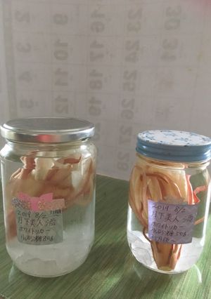 月下美人の酒-レシピのメイン写真