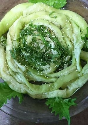 長ナスの蛇腹蒸し-レシピのメイン写真