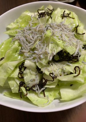 簡単おつまみ☆塩昆布キャベツonジャコ-レシピのメイン写真