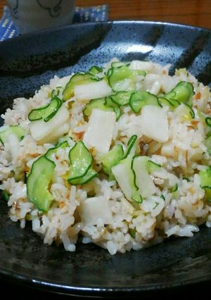 塩気が美味しい☆漬物チャーハン-レシピのメイン写真