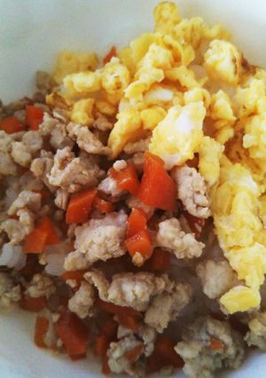 離乳食完了期に～ 三色丼♪-レシピのメイン写真