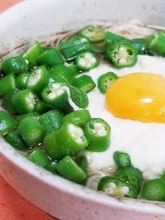 オクラとトロロ♪月見そうめん-レシピのメイン写真