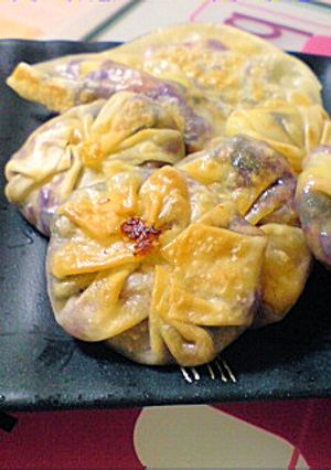 野菜モリモリ♪キャベツと海苔の餃子-レシピのメイン写真