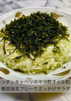 No3421海苔とキャベツ-レシピのメイン写真