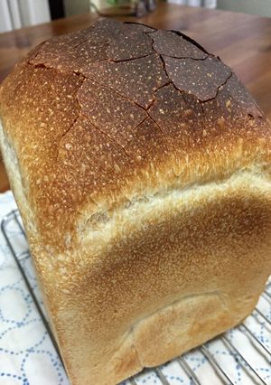 自家製酵母の食パン-レシピのメイン写真