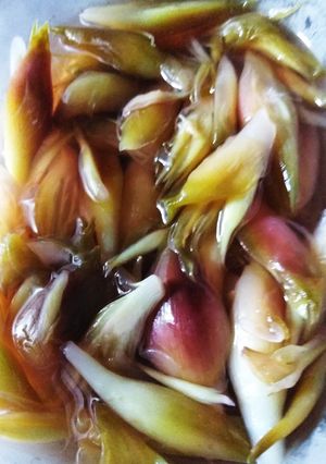 茗荷の三杯酢-レシピのメイン写真