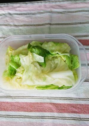 ボイルキャベツ-レシピのメイン写真