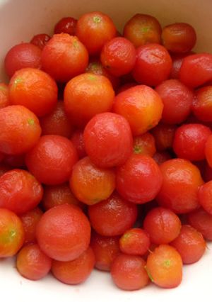 ミニトマトの簡単皮むき-レシピのメイン写真