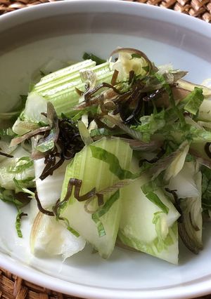 セロリとみょうがの昆布あえ-レシピのメイン写真