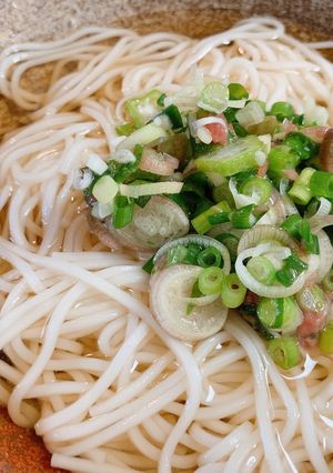梅としそ、おくらのさっぱり冷麦-レシピのメイン写真