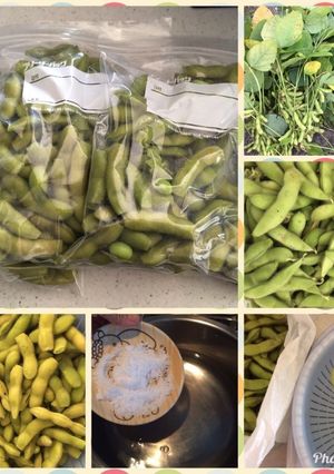 枝豆の冷凍保存-レシピのメイン写真