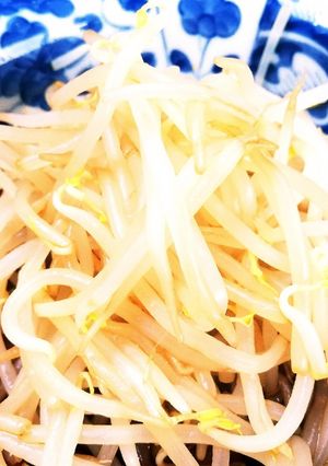酢モヤシ-レシピのメイン写真