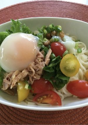 温泉卵のサラダうどん-レシピのメイン写真