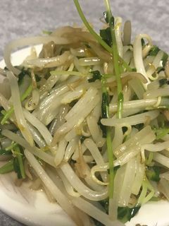 豆苗もやし炒め-レシピのメイン写真
