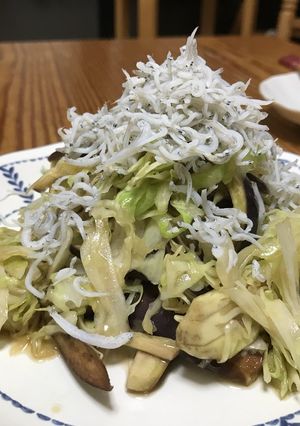 キャベツと茄子のナムル-レシピのメイン写真