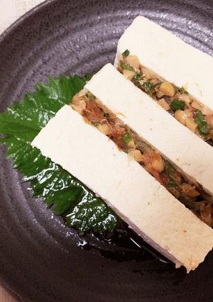 簡単♪薬味納豆のミルフィーユ冷ややっこ-レシピのメイン写真