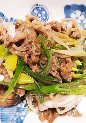 牛肉とネギの炒め-レシピのメイン写真
