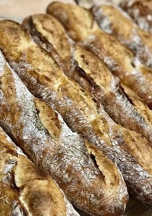バゲット ボコボコ気泡の国産小麦冷蔵発酵-レシピのメイン写真