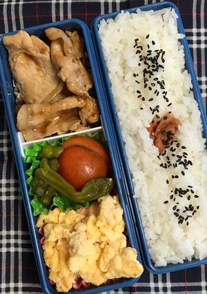 20190806マイ弁当-レシピのメイン写真
