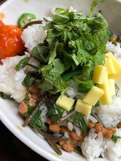たっぷり大葉のネバネバ納豆丼-レシピのメイン写真