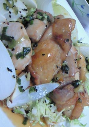 鶏肉と玉ねぎのオーブン焼き~甘酢タレ-レシピのメイン写真