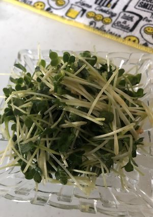 簡単！ピリ辛かいわれサラダ！！-レシピのメイン写真