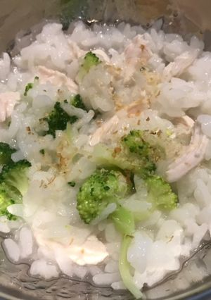 犬用雑炊-レシピのメイン写真
